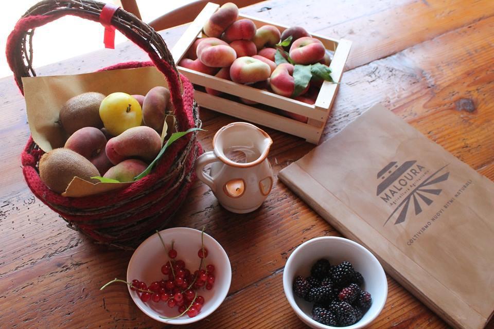 Agriturismo Maloura Савиняно сул Рубиконе Екстериор снимка